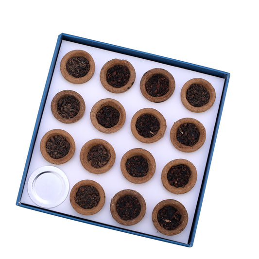 Havan Cups - Premium Twin Pack