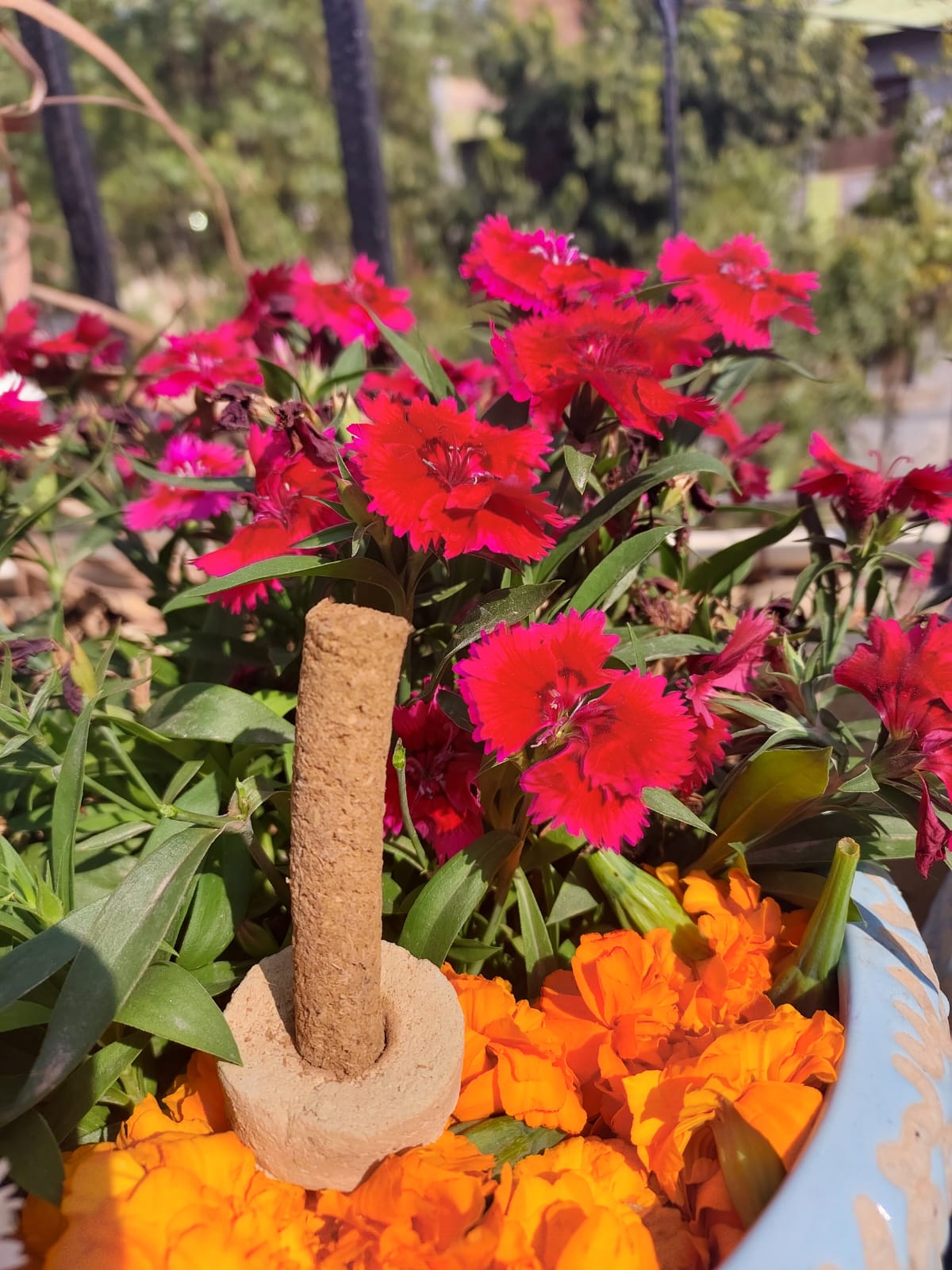 Pushp Vatika (Floral) - Double the Bliss