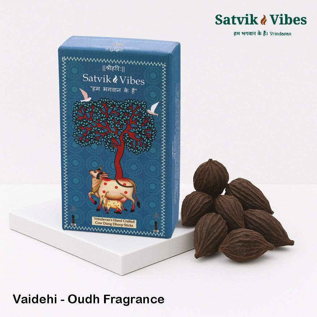 Vaidehi - Double Delight Pack