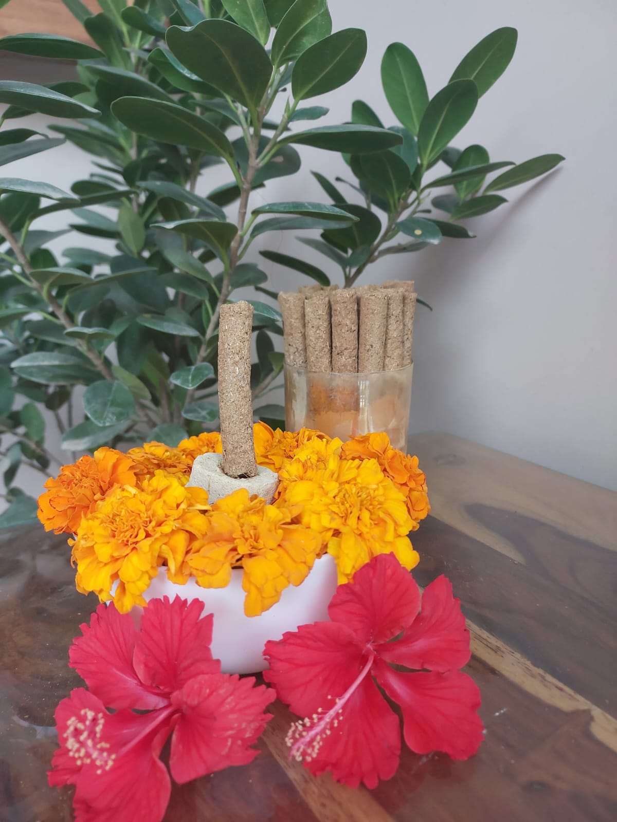 Ramayan – Pair for Peace