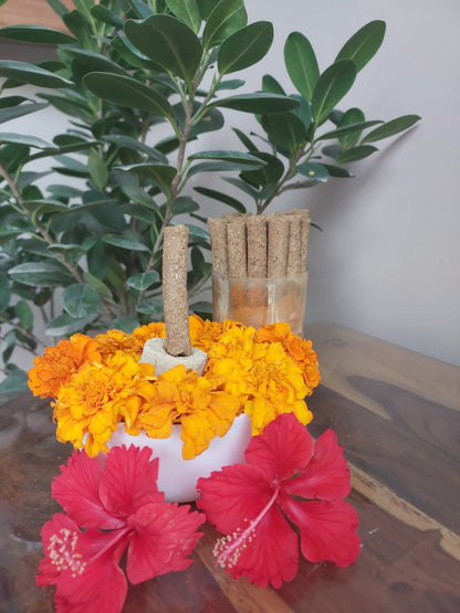 Ramayan – Pair for Peace